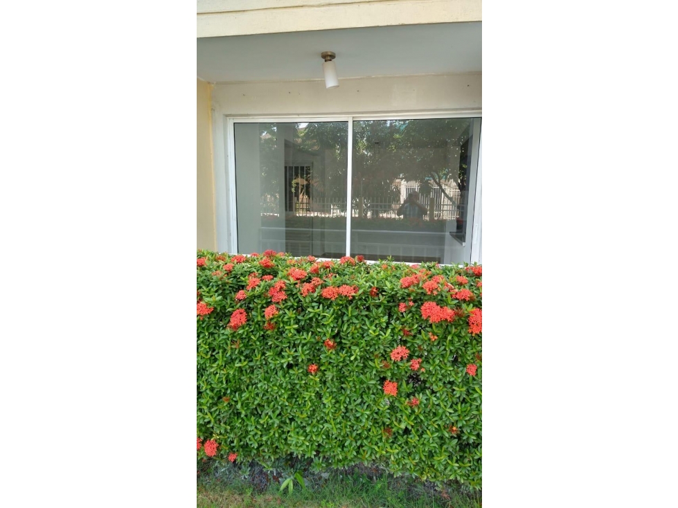SE VENDE APARTAMENTO EN SANTA MÓNICA — foto 2