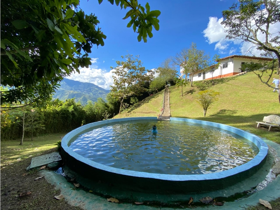 FINCA CERCA A GUARNE - AUTOPISTA MEDELLIN - BOGOTA KM 5 — foto 4