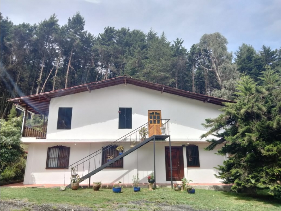 *FINCA SANTA ELENA DE 6.400 MTS PRECIO DE LOCURA* — foto 4