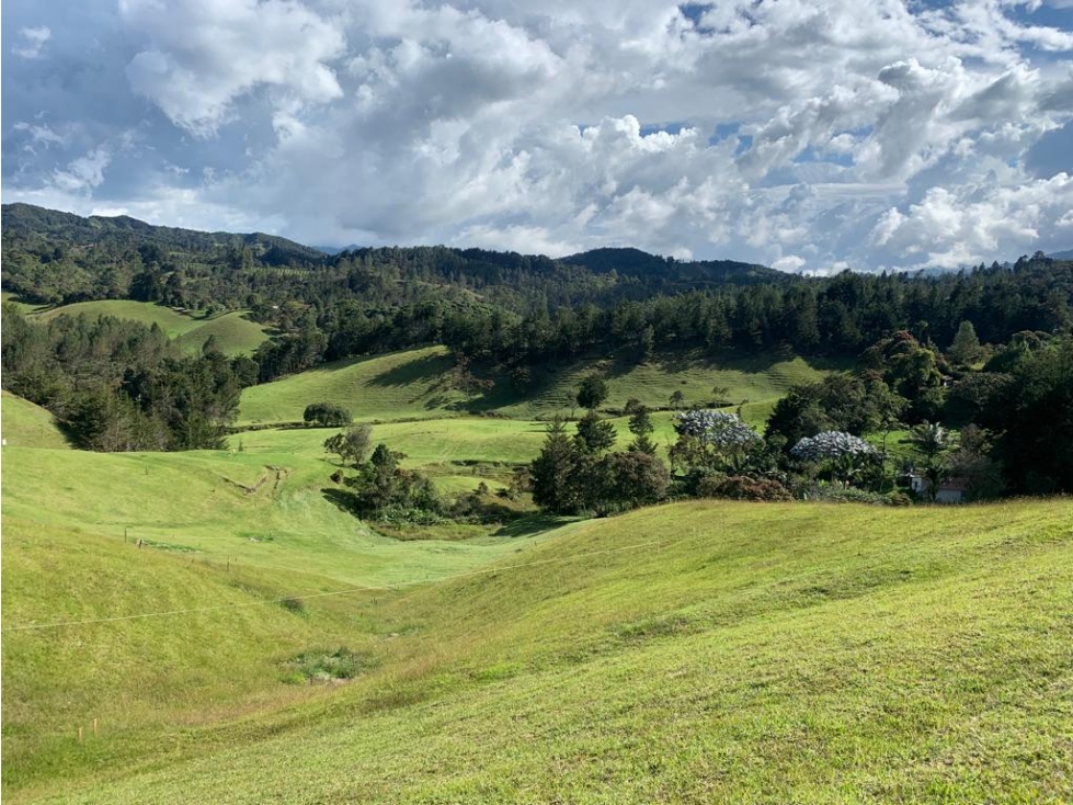 HERMOSO LOTE EN PARCELACION ENTÉRCIELOS - EL RETIRO ANTIOQUIA