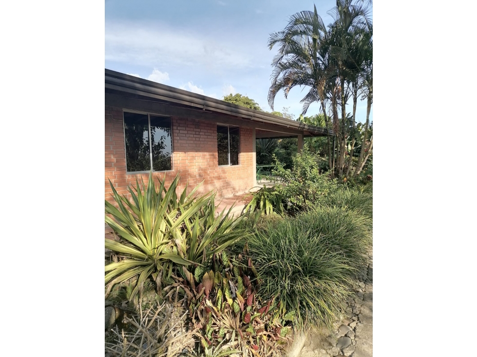 Finca de Café Orgánico en Venta Pereira, Risaralda — foto 4