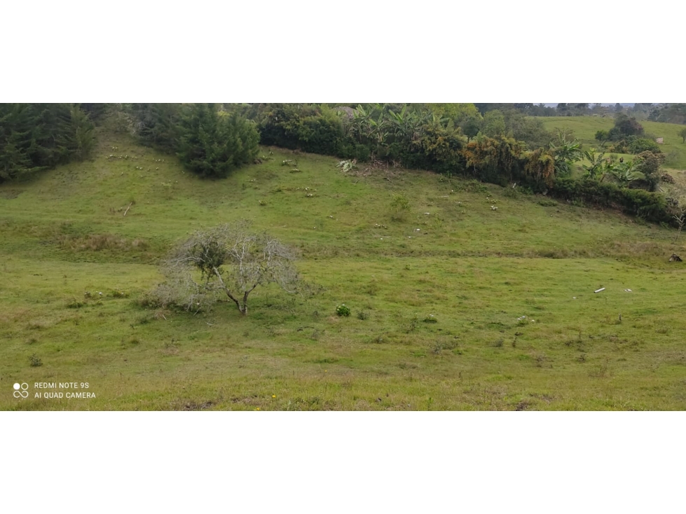 Lote de 35.000 m² en la vereda Pontezuela, Llanogrande con colega — foto 3
