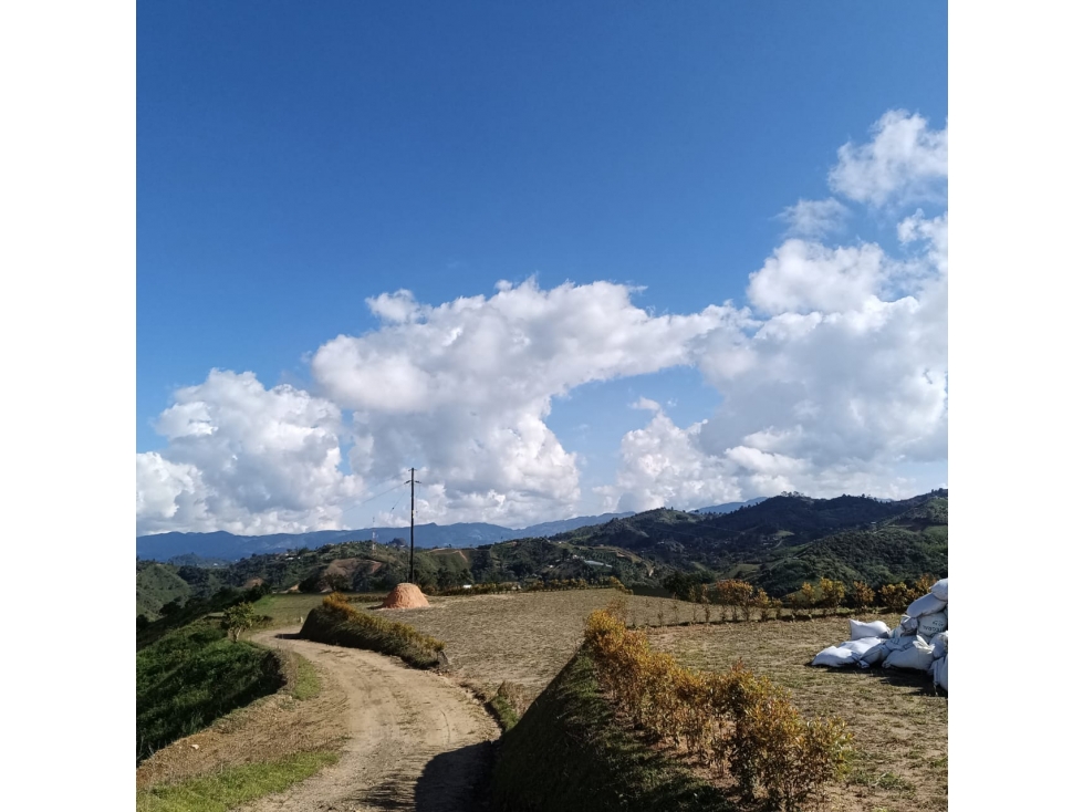 HERMOSOS LOTES EN SAN VICENTE FERRER (GREENLAND) — foto 4