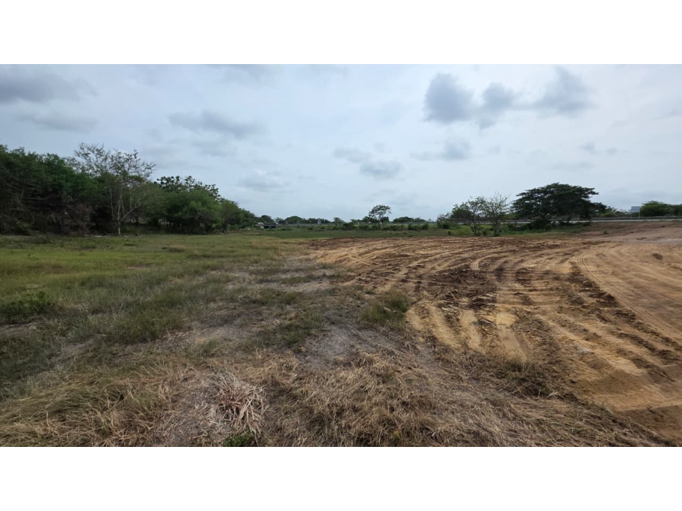 LOTE IDEAL PARA PROYECTOS - Santo Tomás del Depto Atlántico - 1