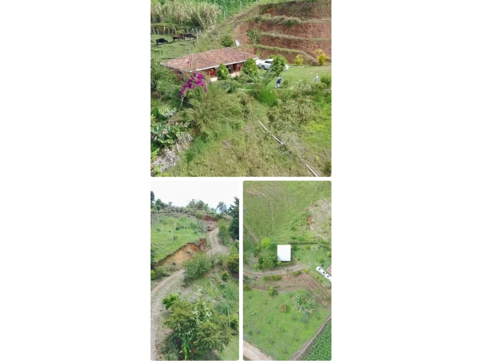 FINCA PARCELABLE EN SAN VICENTE FERRER VEREDA EL CARMELO — foto 6