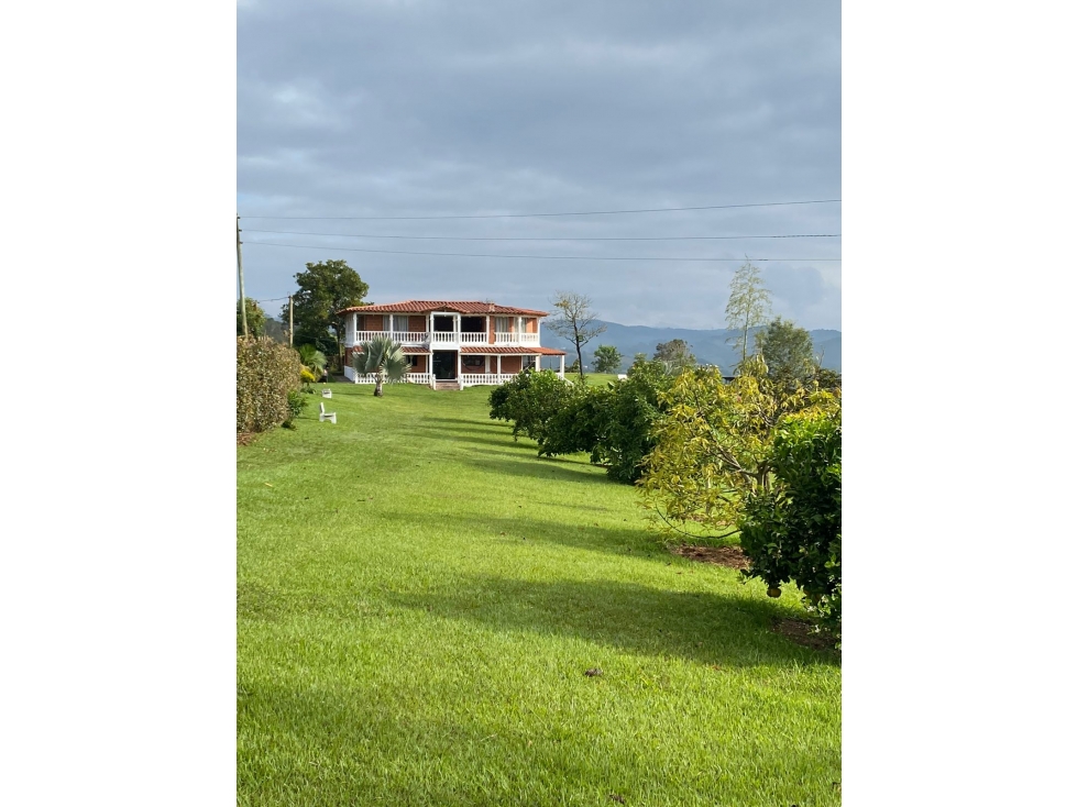 FINCA SAN VICENTE FERRER VEREDA EL HATO