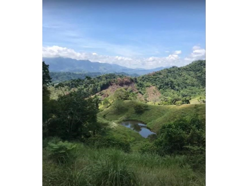 LOTE EN SALGAR ANTIOQUIA - 7 KLM DEL PUEBLO - FINCA LA FLORESTA - 2