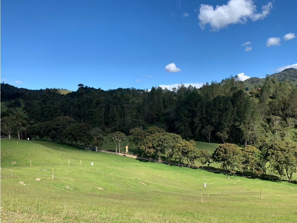 HERMOSO LOTE EN PARCELACION ENTÉRCIELOS - EL RETIRO ANTIOQUIA — foto 2