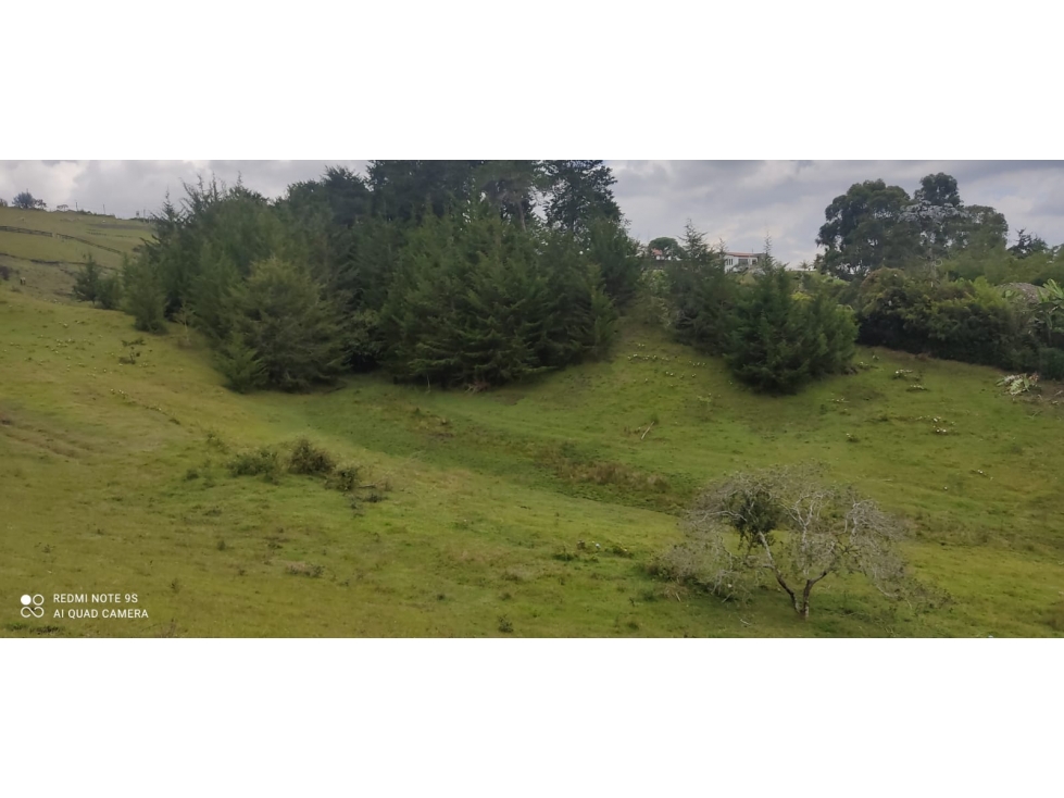Lote de 35.000 m² en la vereda Pontezuela, Llanogrande con colega — foto 4