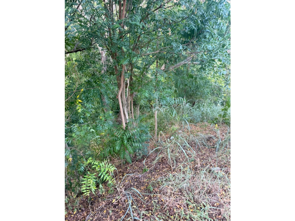 LOTE EN SANTA FE DE ANTIOQUIA PARCELACIÓN MANANTIALES — foto 2