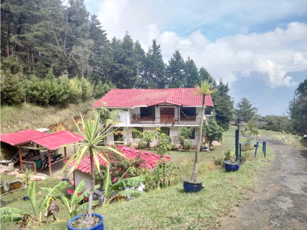 *FINCA SANTA ELENA DE 6.400 MTS PRECIO DE LOCURA* — foto 6