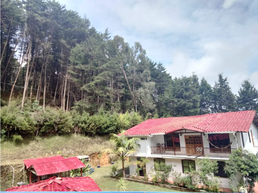 *FINCA SANTA ELENA DE 6.400 MTS PRECIO DE LOCURA* — foto 2