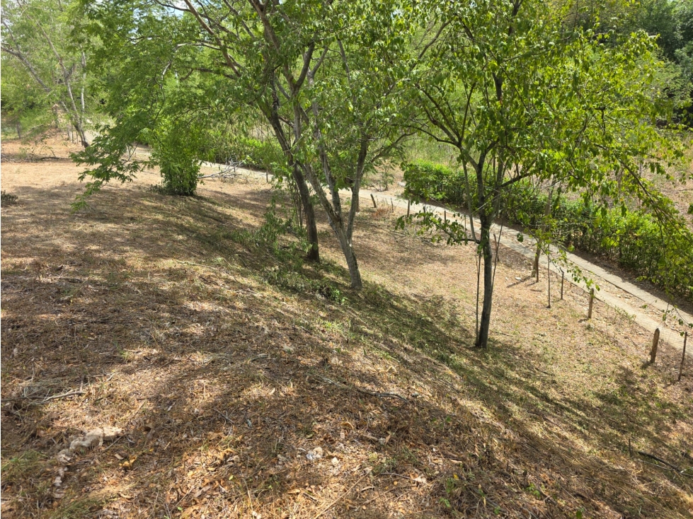 LOTE EN SANTA FE DE ANTIOQUIA AHORRO DE 50 MILLONES — foto 3