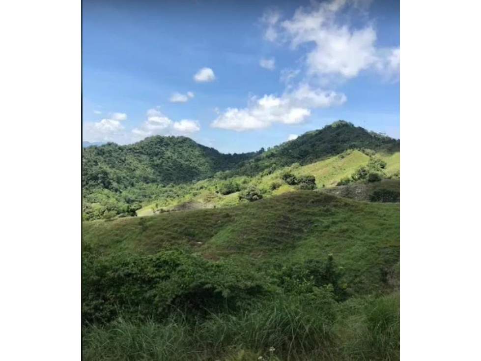 LOTE EN SALGAR ANTIOQUIA - 7 KLM DEL PUEBLO - FINCA LA FLORESTA - 3