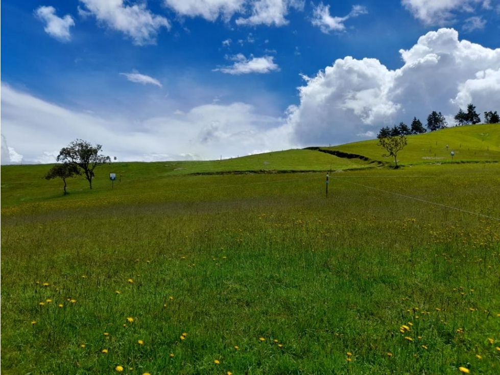 HERMOSO LOTE EN PARCELACION ENTÉRCIELOS - EL RETIRO ANTIOQUIA — foto 3