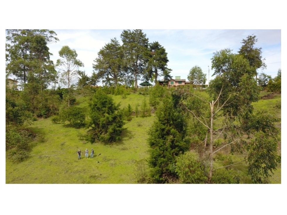 LOTE PARA VIVIENDAS CAMPESTRES LA MOSCA RIONEGRO (ANT) — foto 3
