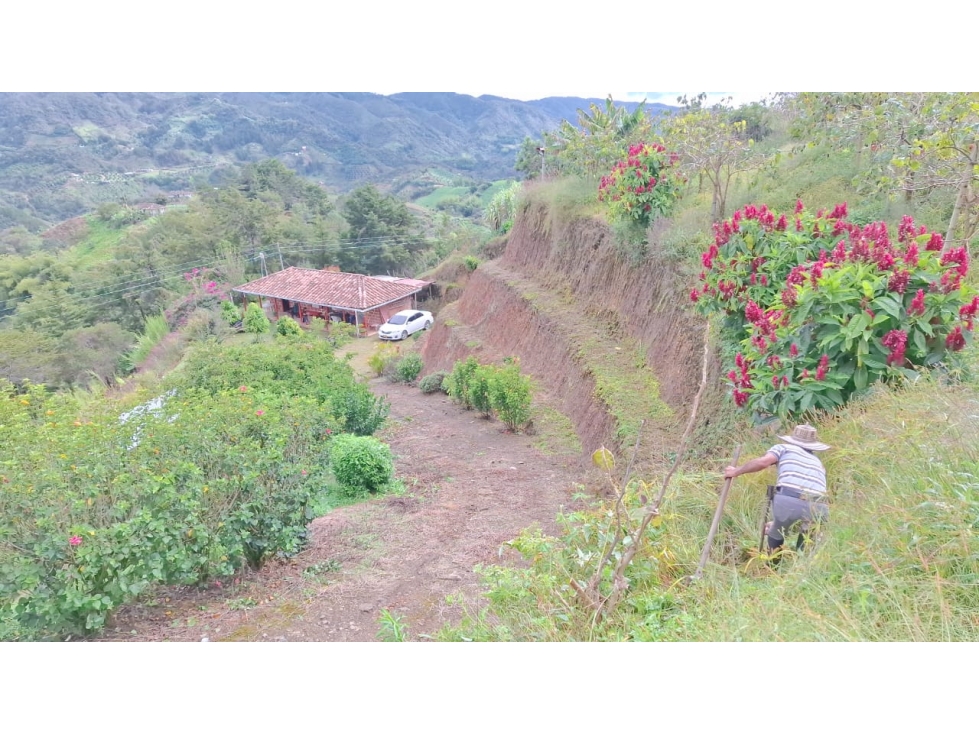 FINCA PARCELABLE EN SAN VICENTE FERRER VEREDA EL CARMELO — foto 5