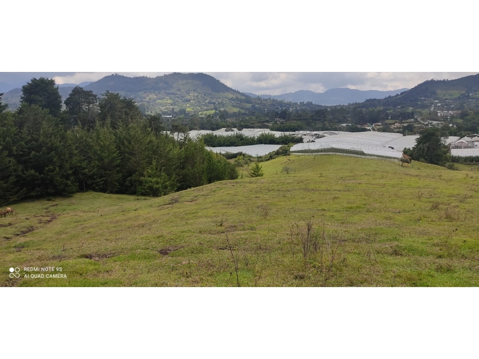 Lote de 35.000 m² en la vereda Pontezuela, Llanogrande con colega — foto 6