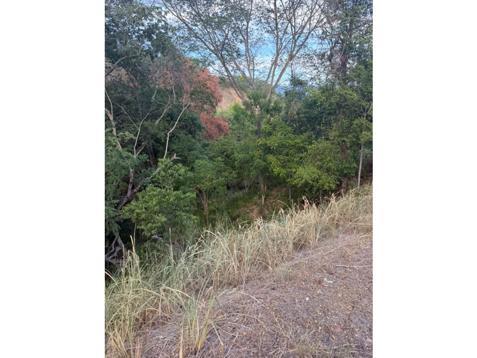 LOTE EN SANTA FE DE ANTIOQUIA PARCELACIÓN MANANTIALES — foto 4