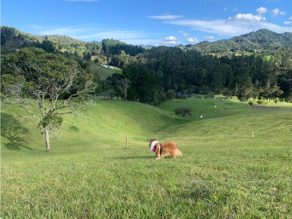HERMOSO LOTE EN PARCELACION ENTÉRCIELOS - EL RETIRO ANTIOQUIA — foto 5