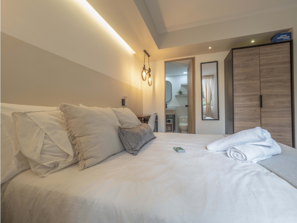 LOFT DE LUJO CERCA A PROVENZA — foto 5
