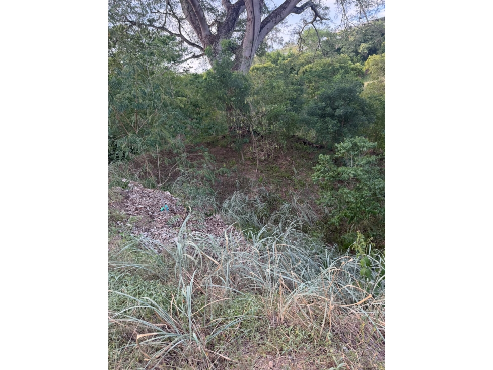 LOTE EN SANTA FE DE ANTIOQUIA PARCELACIÓN MANANTIALES — foto 6