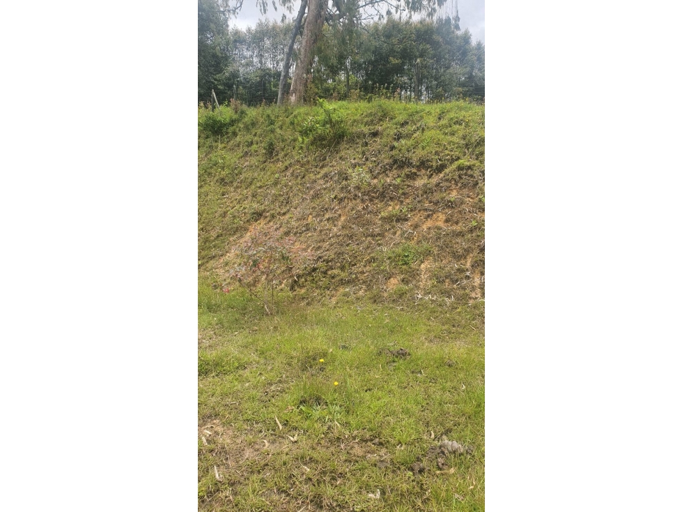 Lote exclusivo de 3.270 m² en El Carmen de Viboral — foto 6
