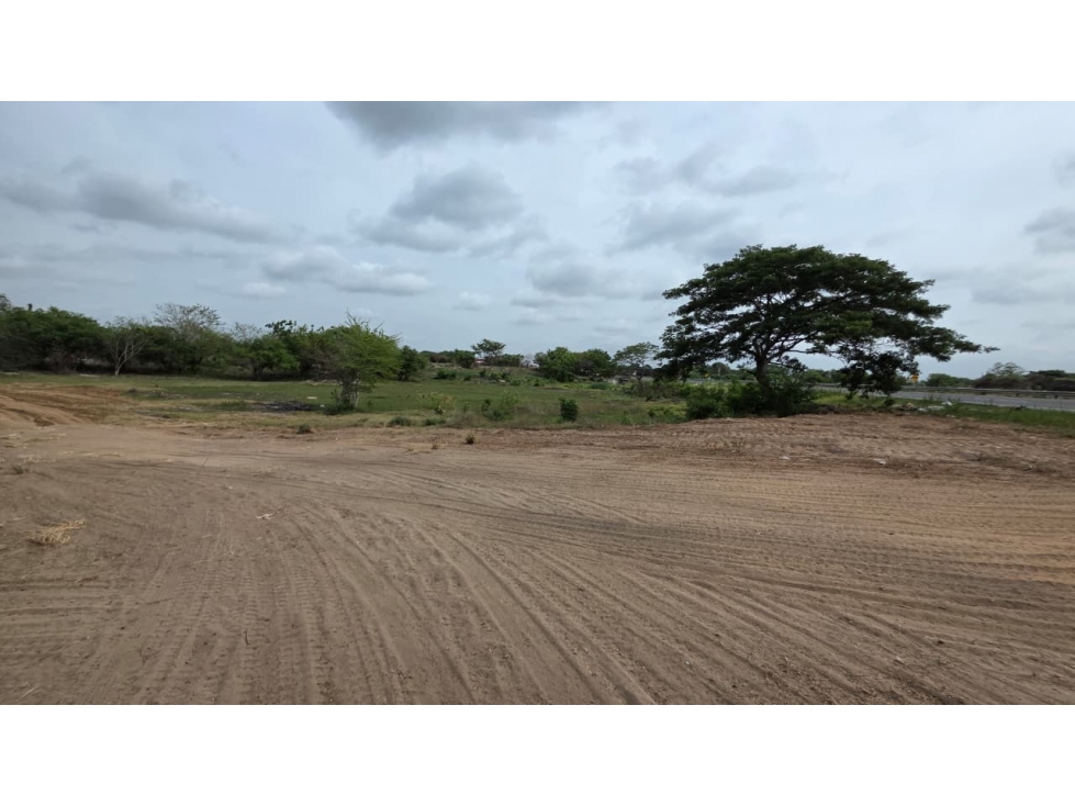 LOTE IDEAL PARA PROYECTOS - Santo Tomás del Depto Atlántico - 6