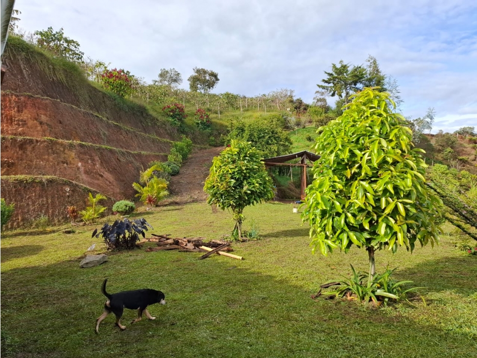 FINCA PARCELABLE EN SAN VICENTE FERRER VEREDA EL CARMELO — foto 3