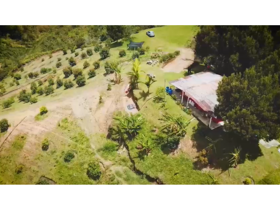FINCA EN MARINILLA LA MEJOR VISTA DE LA ZONA — foto 4