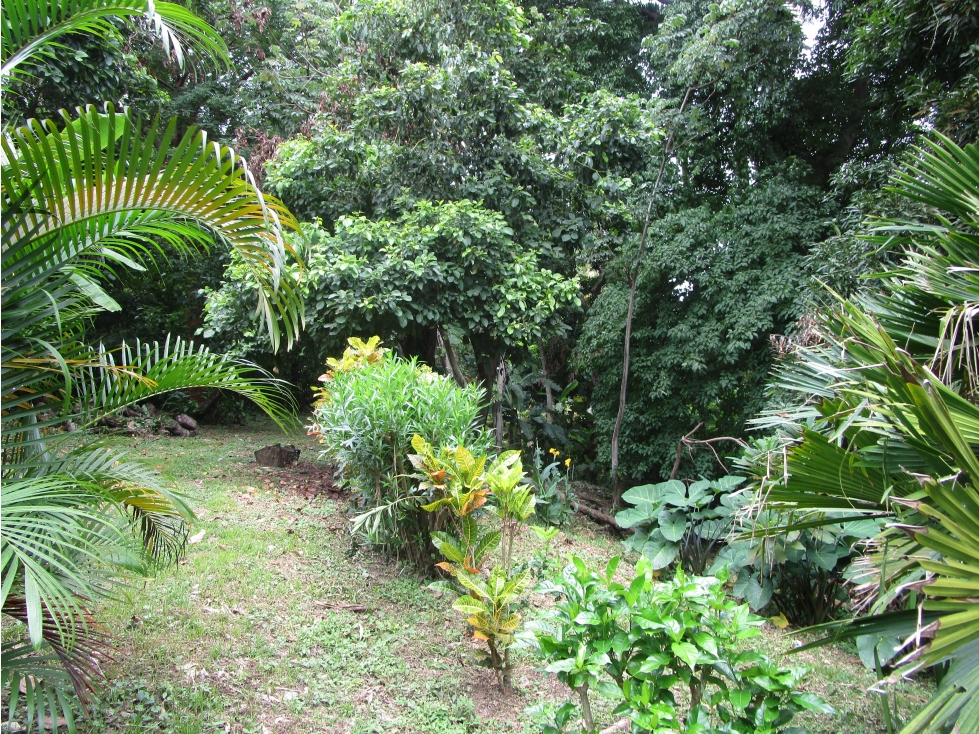 Venta de terreno en Isla Taboga - 6
