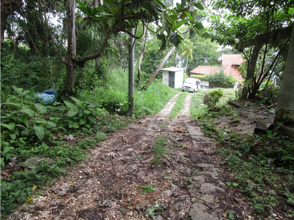 Venta de terreno en Isla Taboga - 4