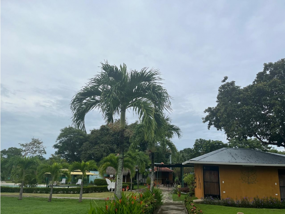 Venta de Hotel Ecoturístico en San Carlos - 6