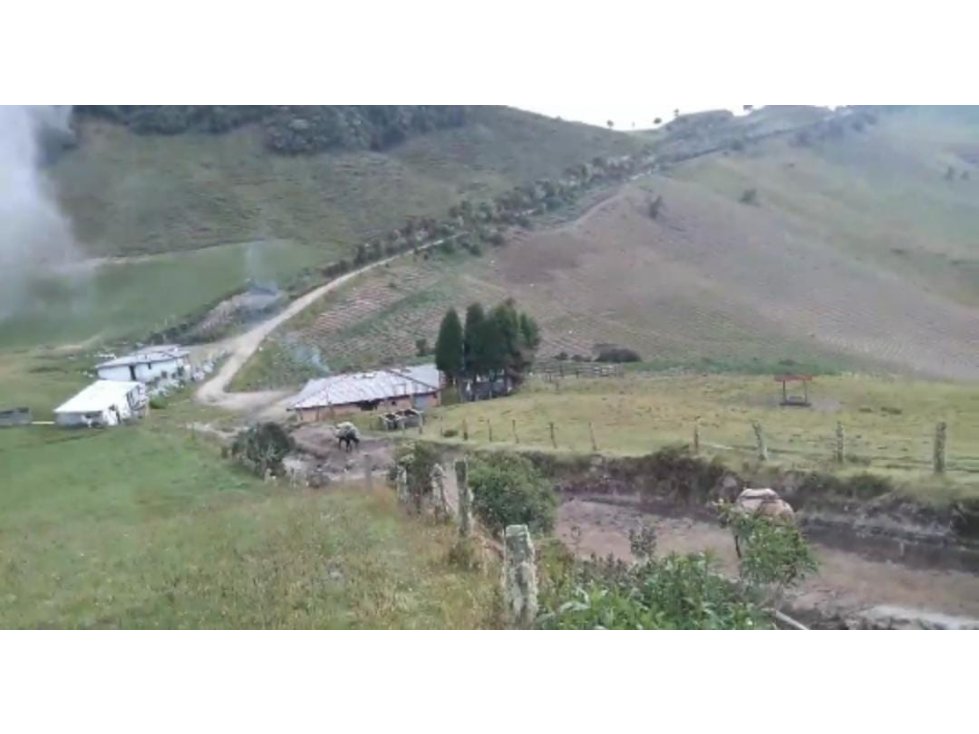 VENDO FK GANADERA 322 Has MANIZALES CERCA KM 8 LETRAS — foto 2