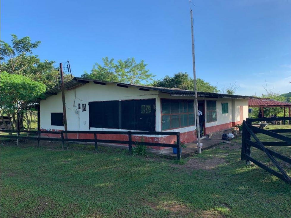 VENDO FINCA GANADERA 350 Has POR LOS LADOS DE PUERTO BOYACA - 1
