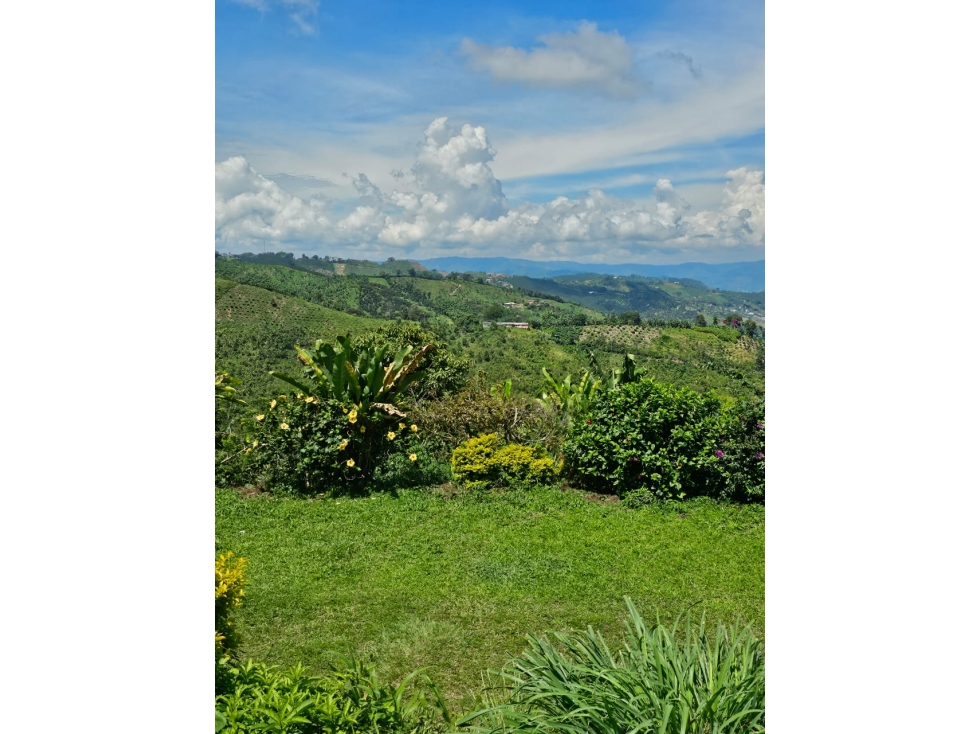 VENDO LOTE PARA CASA CAMPESTRE 2500 M2 LA SELVA