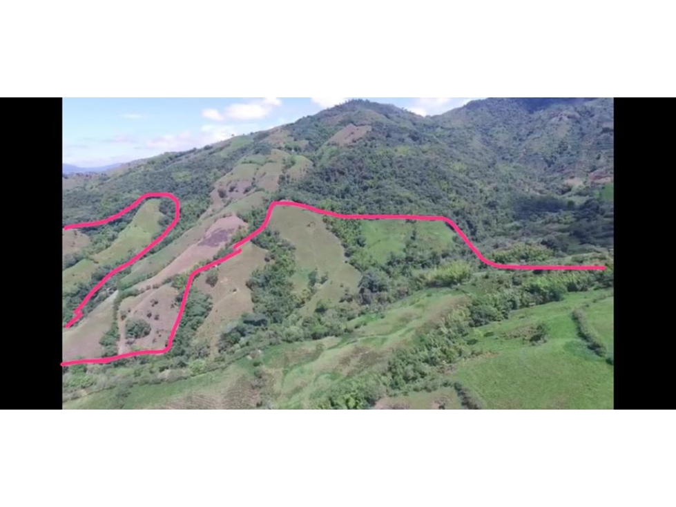 VENDO FINCA GANADERA 670 CUADRAS MANIZALES LA TESALIA — foto 2