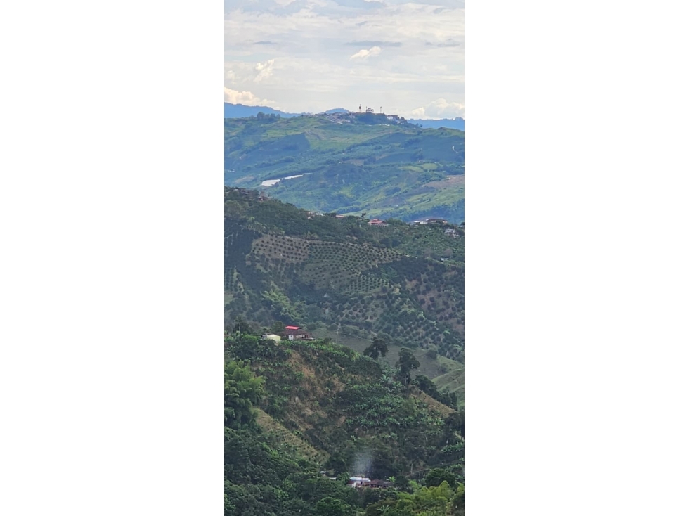 VENDO FINCA 11058 MTS CULTIVABLE EN LA QUIEBRA VELEZ CALDAS — foto 2