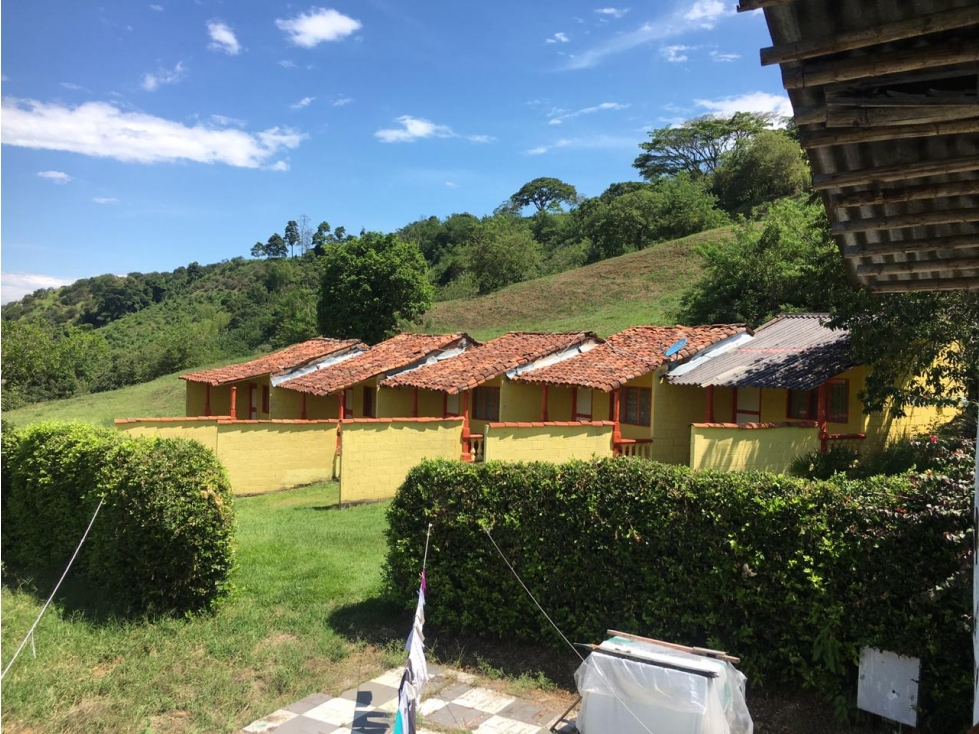 VENDO FINCA 2,3 Has VEREDA LA ISLA, VIA BELEN DE UMBRIA, RISARALDA