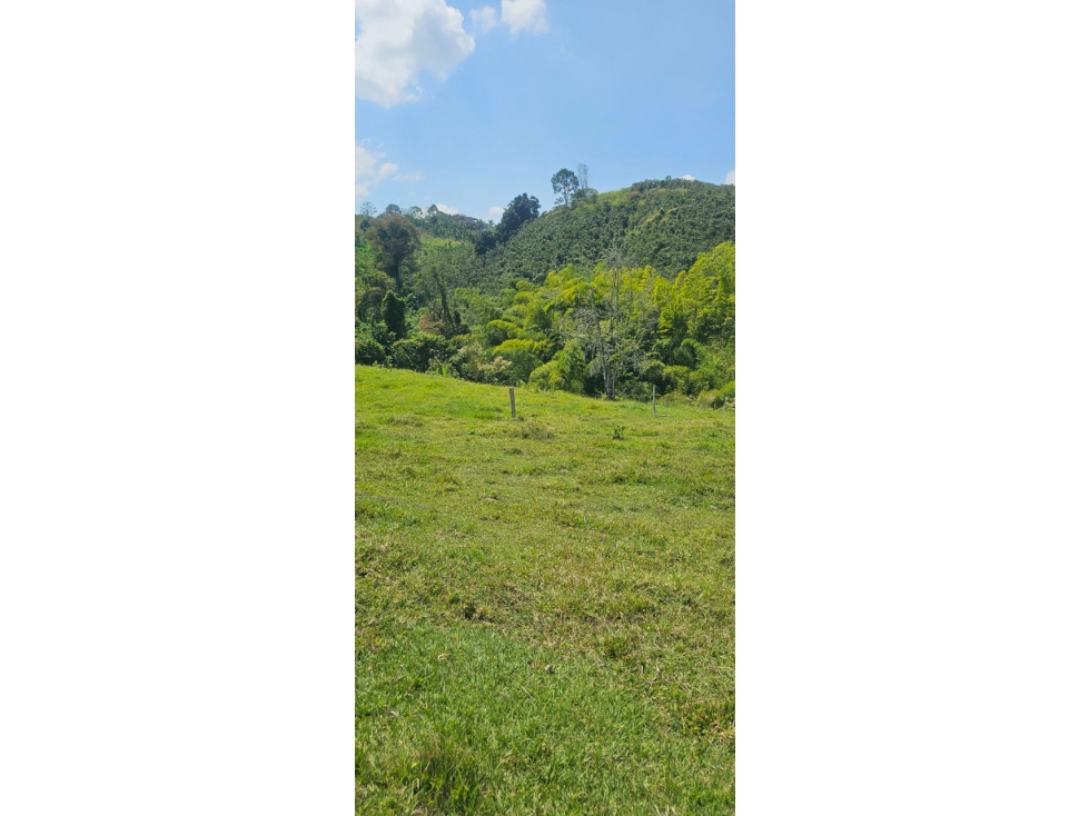 VENDO FINCA 4 CUADRAS Y MEDIA POR EL BAJO ESPAÑOL, CHINCHINA — foto 3