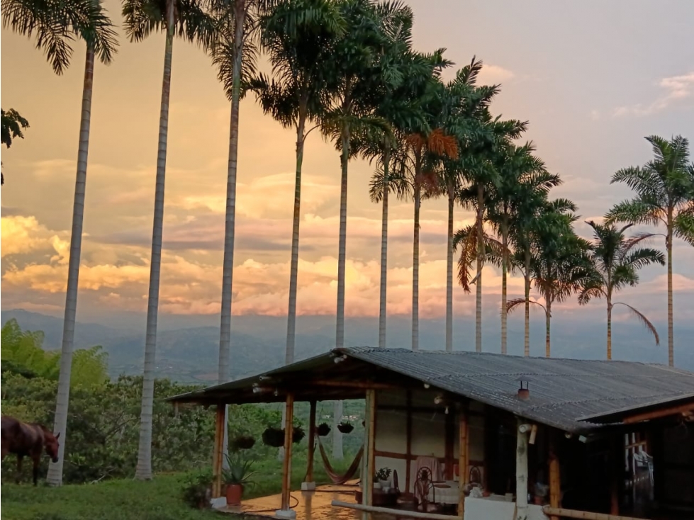 VENDO FINCA GANADERA 670 CUADRAS MANIZALES LA TESALIA — foto 3