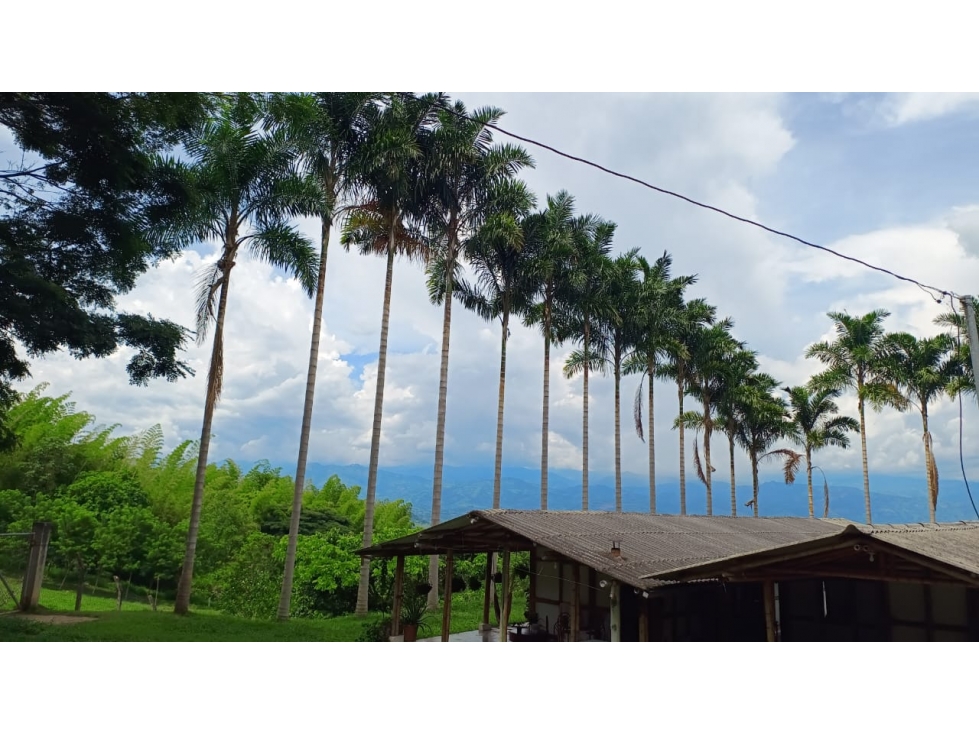 VENDO FINCA GANADERA 670 CUADRAS MANIZALES LA TESALIA