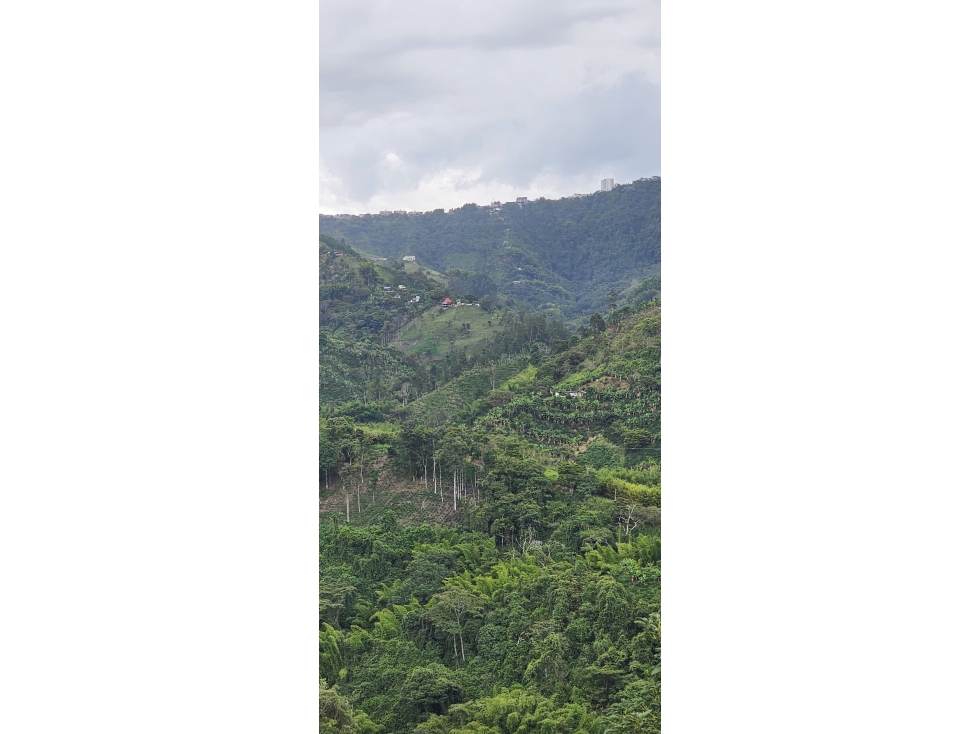 VENDO FINCA 11058 MTS CULTIVABLE EN LA QUIEBRA VELEZ CALDAS