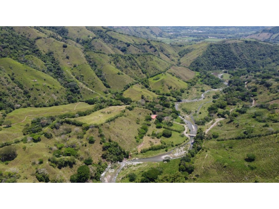 VENDO FINCA GANADERA 670 CUADRAS MANIZALES LA TESALIA — foto 4