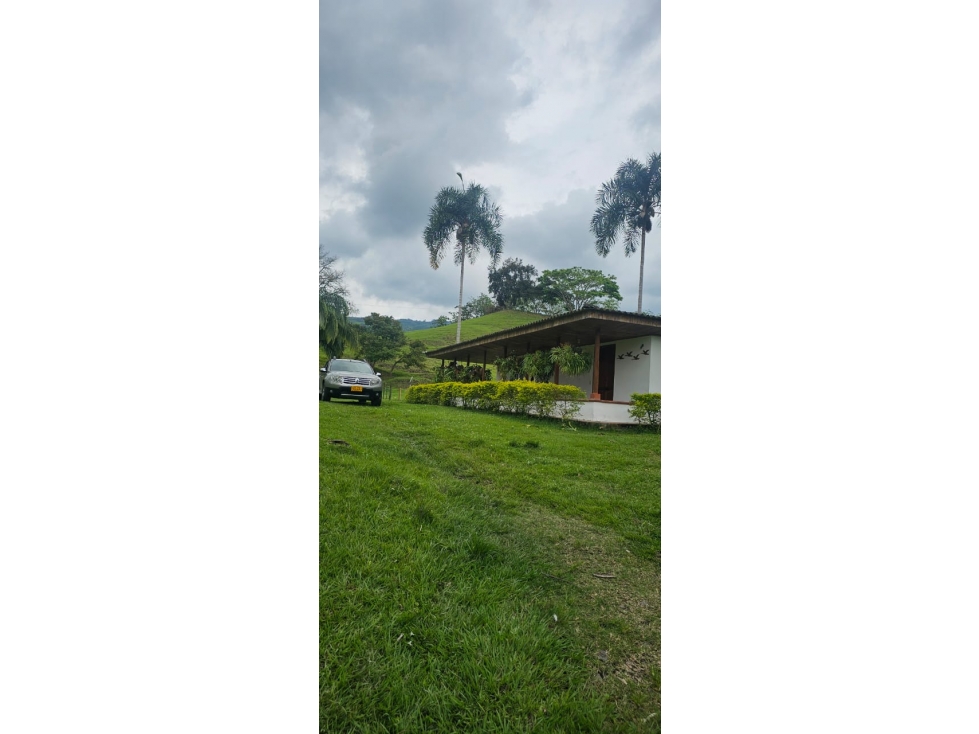 VENDO FINCA GANADERA 258 CUADRAS SECTOR KM 41 MANIZALES — foto 2