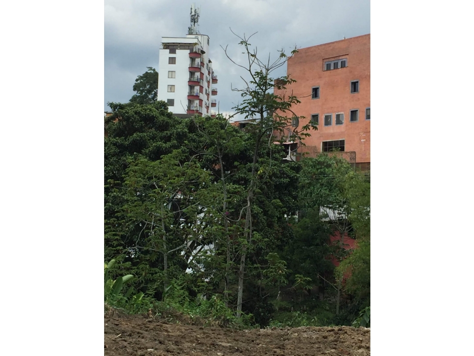 VENDO LOTE URBANO 988 M2 SECTOR DE PINARES, PEREIRA — foto 5