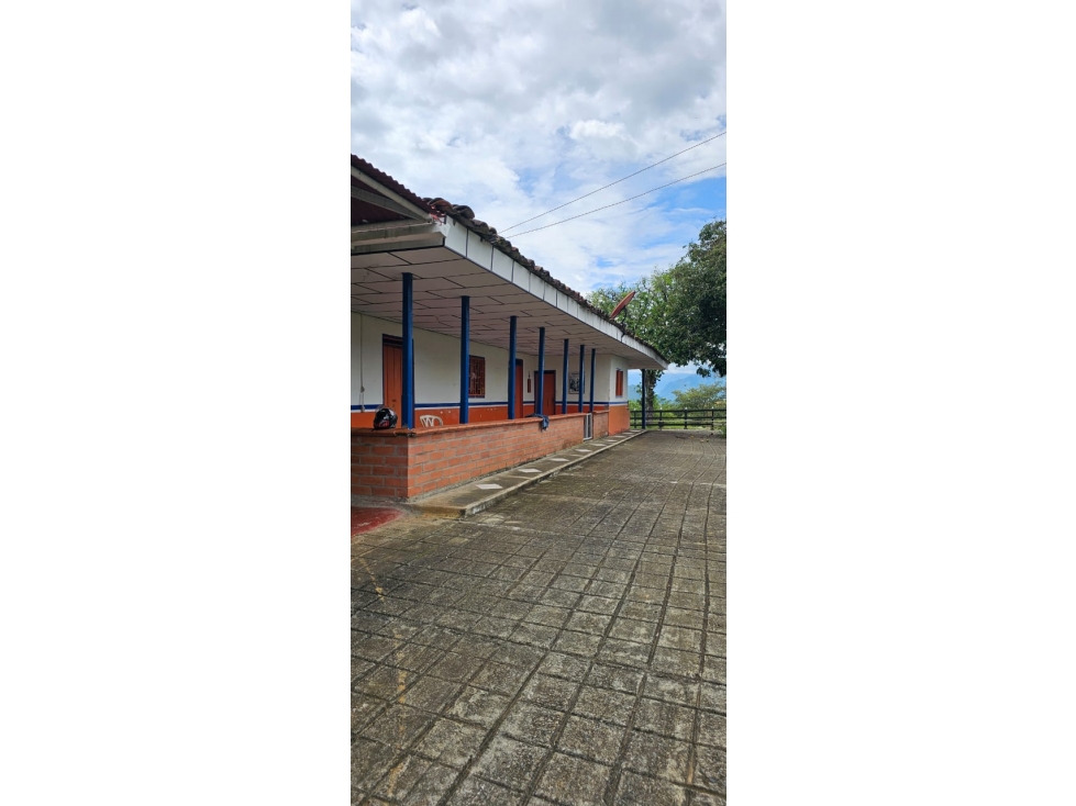 VENDO FINCA 50 CUADRAS POR FILADELFIA CALDAS - 2