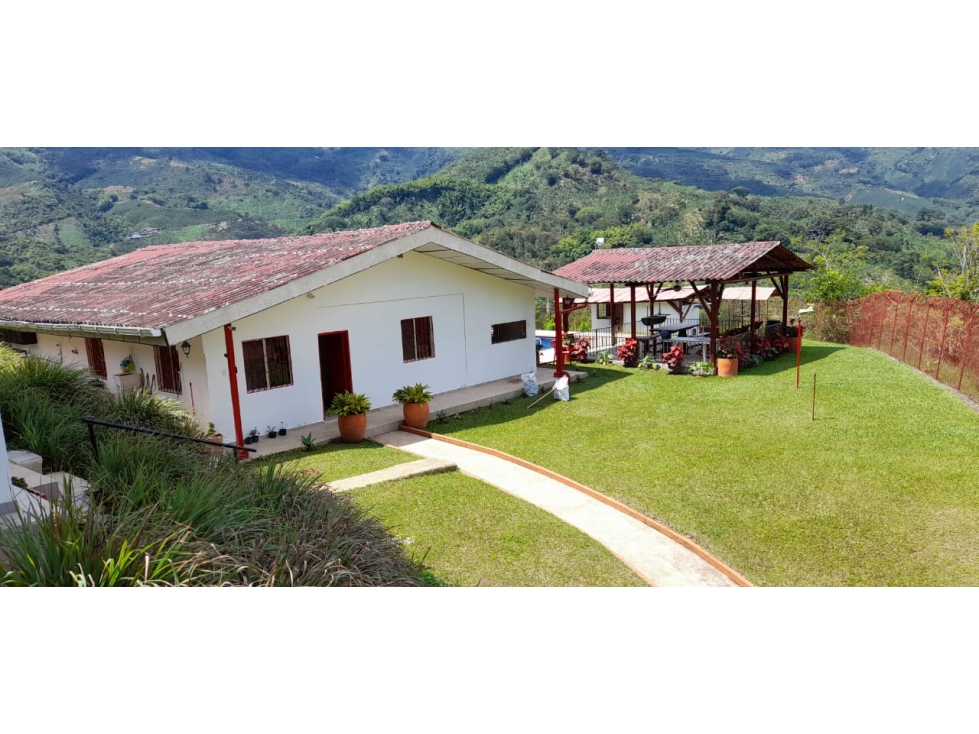 VENDO FINCA GANADERA DE 135 Cdas POR LA TESALIA, MANIZALES — foto 4