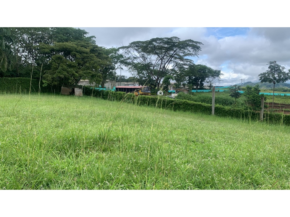 VENDO LOTE EN MALABAR 3000 M2 INDEPENDIENTE EN CERRITOS, PEREIRA — foto 3