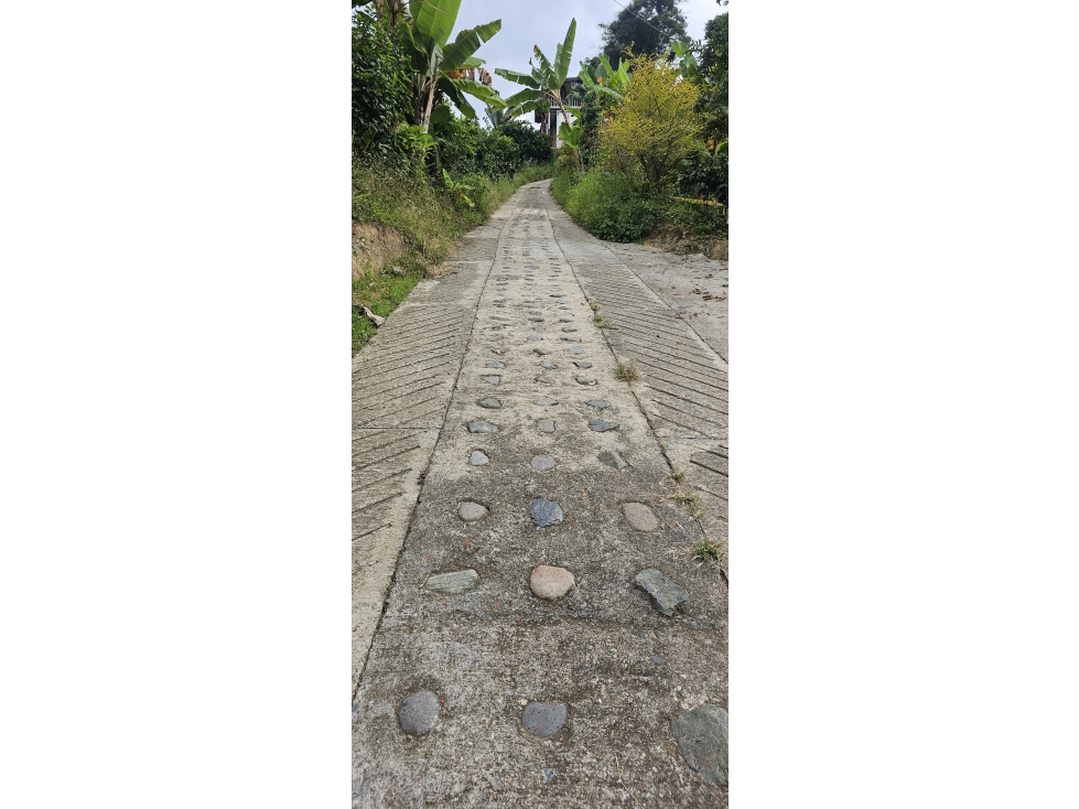 VENDO FINCA 11058 MTS CULTIVABLE EN LA QUIEBRA VELEZ CALDAS — foto 5